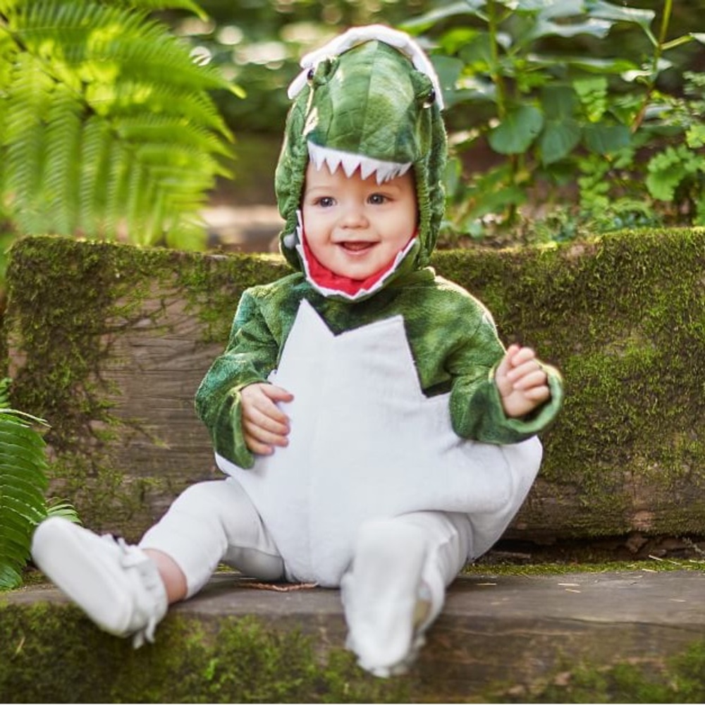 Pottery Barn Kids Baby T-rex Dinosaur Egg Halloween Costume
